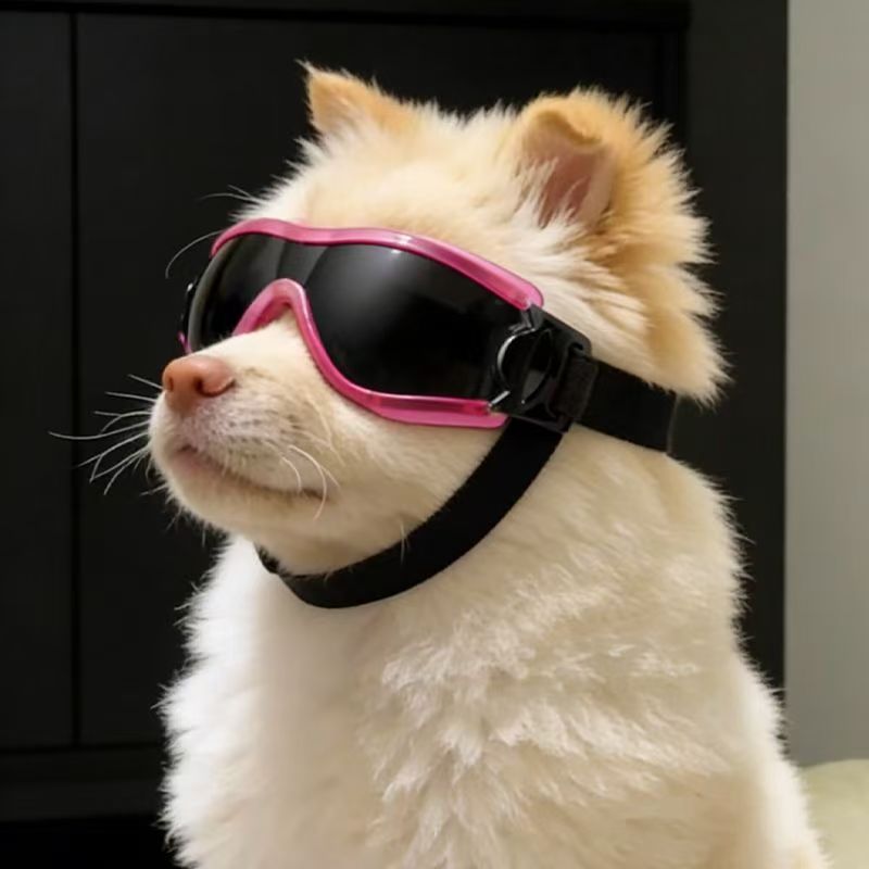 Dog Goggles for Small Medium D - đánh giá và giá Sunglass Retainer Cord